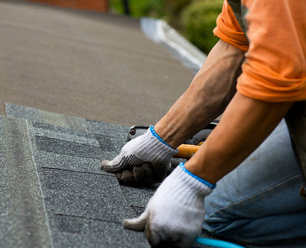 Best Roof Maintenance Services  in Ashley, PA