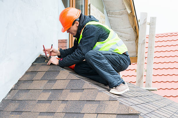 Best Roof Gutter Cleaning  in Ashley, PA